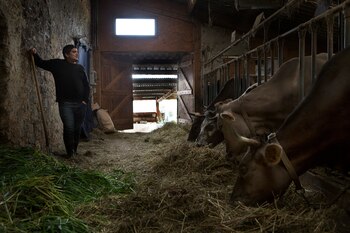 (Catapulta Editores)