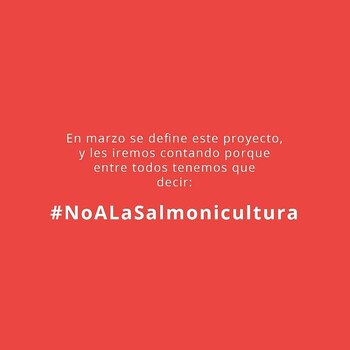 Fuerte campaña en las redes