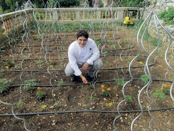 Colagreco cultiva muchos de los productos de Mirazur en una quinta ubicada en la ladera de la montaña vecina a su restaurante.