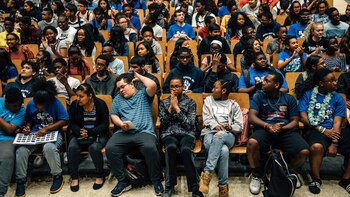 La neurociencia revela la conexión