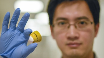 Científicos convierten la señal de