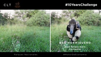 El #10YearsChallenge de los parques