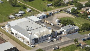 La planta productora de San