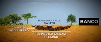 Gráfico: Univision 23 Miami