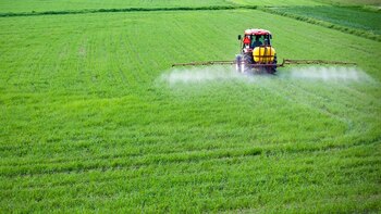 El consumo de fertilizantes creció