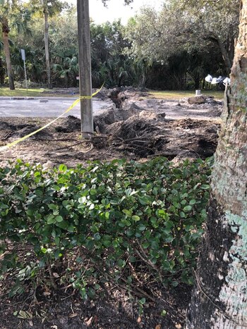 (Foto: Pablo Semmartin para Infobae)