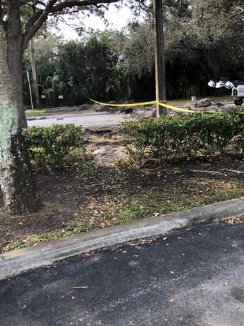 (Foto: Pablo Semmartin para Infobae)