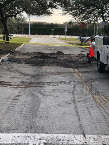 (Foto: Pablo Semmartin para Infobae)