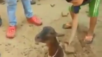 Según la tradición, las personas