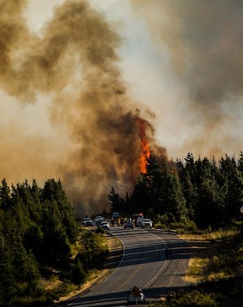 Se estima que hasta el momento el fuego afectó alrededor de 450 hectáreas