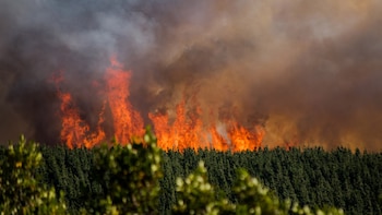 El incendio comenzó el martes pasadas las 16.30 en la zona del Paraje La Rinconada
