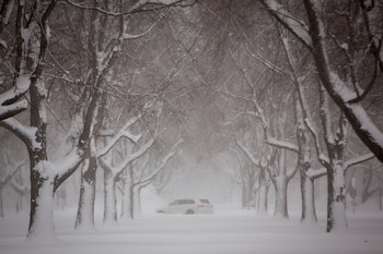 Un vehículo avanza por el