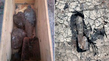 Expertos de la Fuerza Aérea