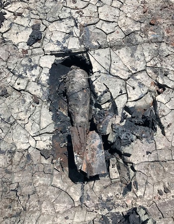 Trabajadores del ahora cancelado aeropuerto