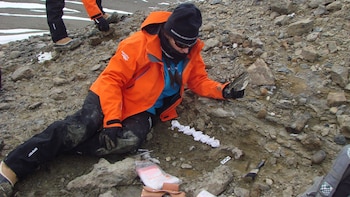 Su descubrimiento representa un registro