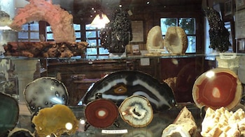 Museo de Geología y Paleontología