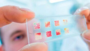 Cada vez hay más avances