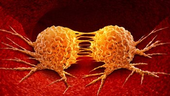 Los resultados pueden restaurar el