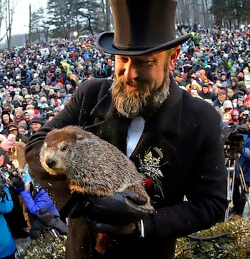 Las predicciones de Phil han sido correctas en un 39 % de las ocasiones, sin embargo, los miembros del Punxsutawney Groundhog Club Inner Circle afirman que la marmota siempre tiene razón (Foto: AP)