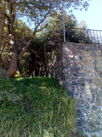 Después de registrar la zona, PROFEPA descartó la posibilidad de que dicho animal pudiera entrar en la vivienda del denunciante (Foto: PROFEPA)