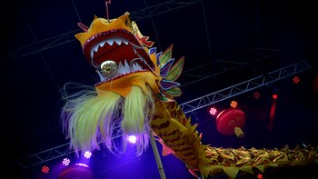 Imagen DL7OQZEMDJCVZESM7LE2TWIIGQ