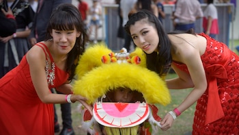 Imagen GE2MTJUTKZFZDBXO4M4ZVC7ZWM