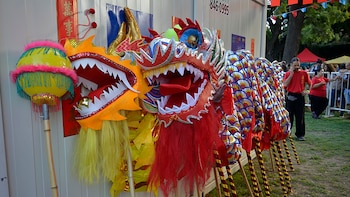 Imagen 3KQQWAL6NBE3XBJDNKJWOUI24A