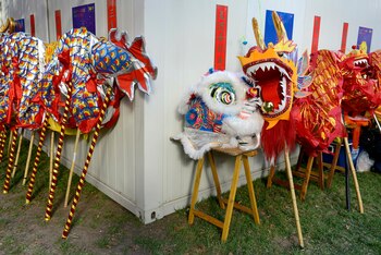 Dragones y leones a la