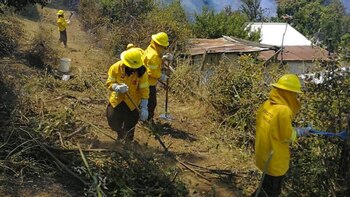 Los incendios forestales afectan a