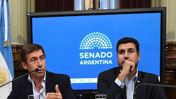 El senador Naidenoff y el