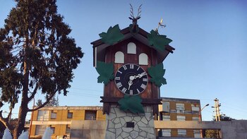 (Instagram / @ocedag)