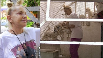 Los perros de Wanda ya