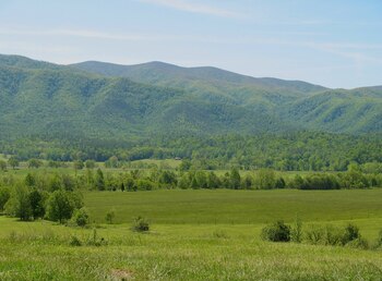 Rogers negó en un primer