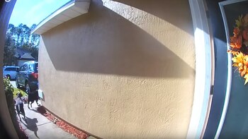 Perros le salvan la vida