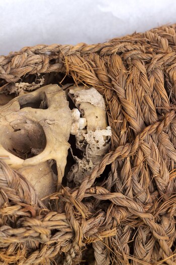 Este vestigio de los ritos