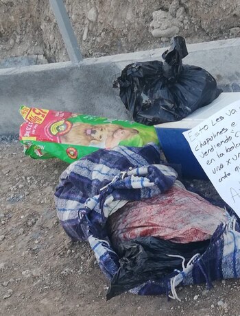 Los restos que aparecieron en