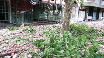 Así quedó la vereda del