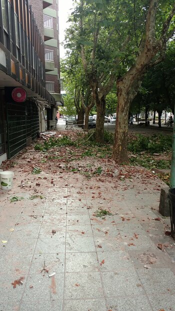 Personal de Defensa Civil colocó