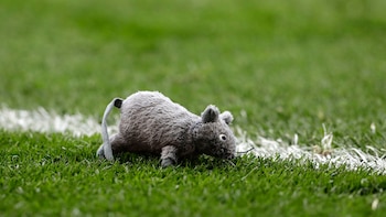 Los hinchas del Altético Madrid