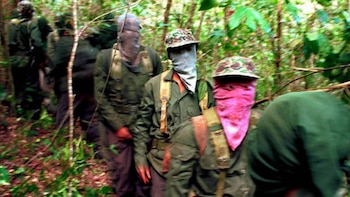 El Ejército Popular Revolucionario reapareció