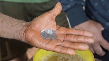 El régimen busca burlar las