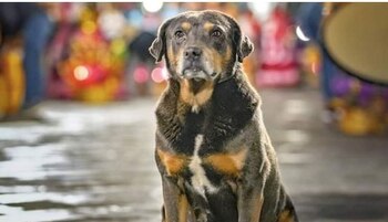 Oaxaca es el primer estado
