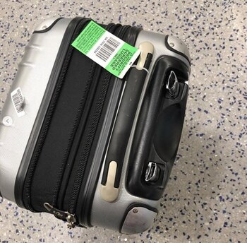 Mayim Bialik dijo que su