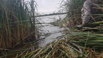 Fotos de la toma clandestina