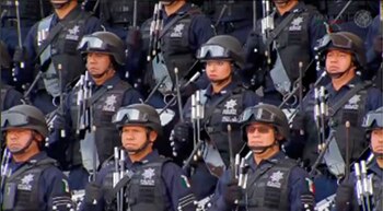 La Policía Federal es la