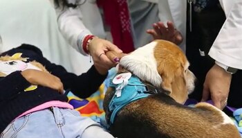 Los pacientes del hospital son