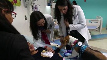 Los niños con enfermedades terminales