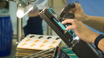 Solnik cuenta con 200 empleados