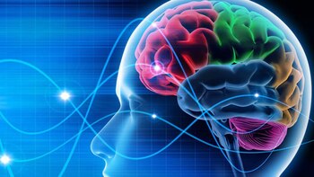 Investigaciones con ultrasonido pueden mejorar