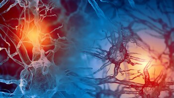 En la Argentina se estima